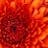 Sandeep Bhandari