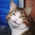 ProductHunt profile picture for @jkt