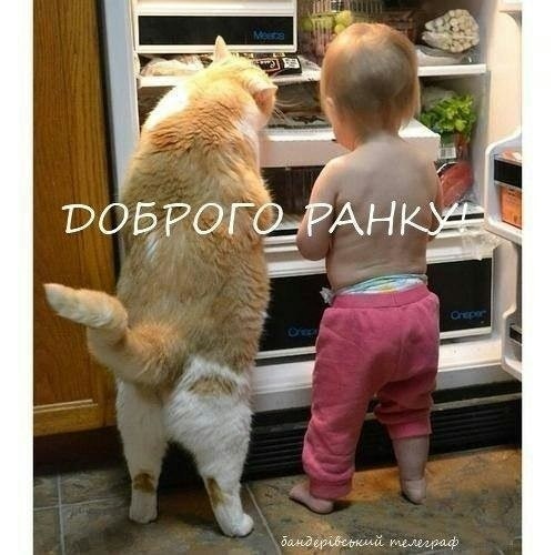 Владимир Крамс