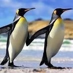 Танець Пінгвіна