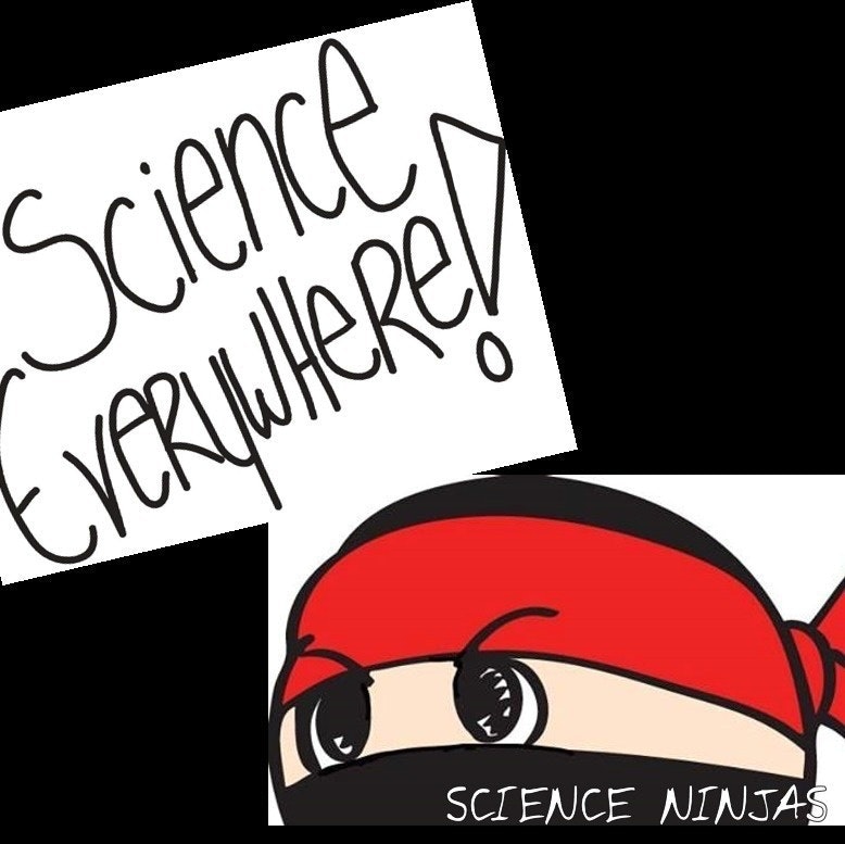 Science Ninjas Inc.