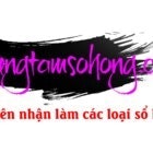 Làm Sổ Hồng Giả