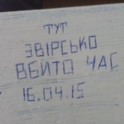 Прикарпатский партиз