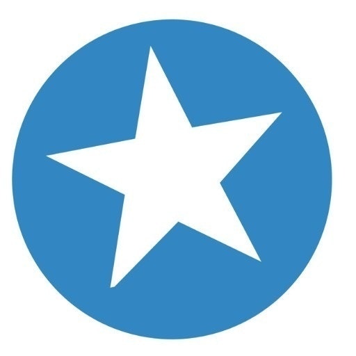 Flying Point Digital