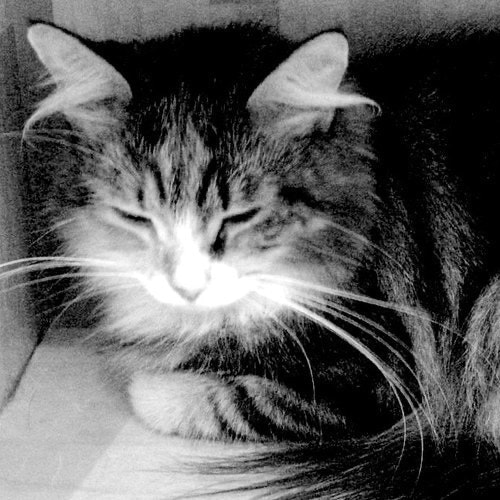 Hiroyuki Ota (ほた)