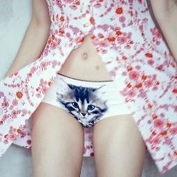 cat underwear