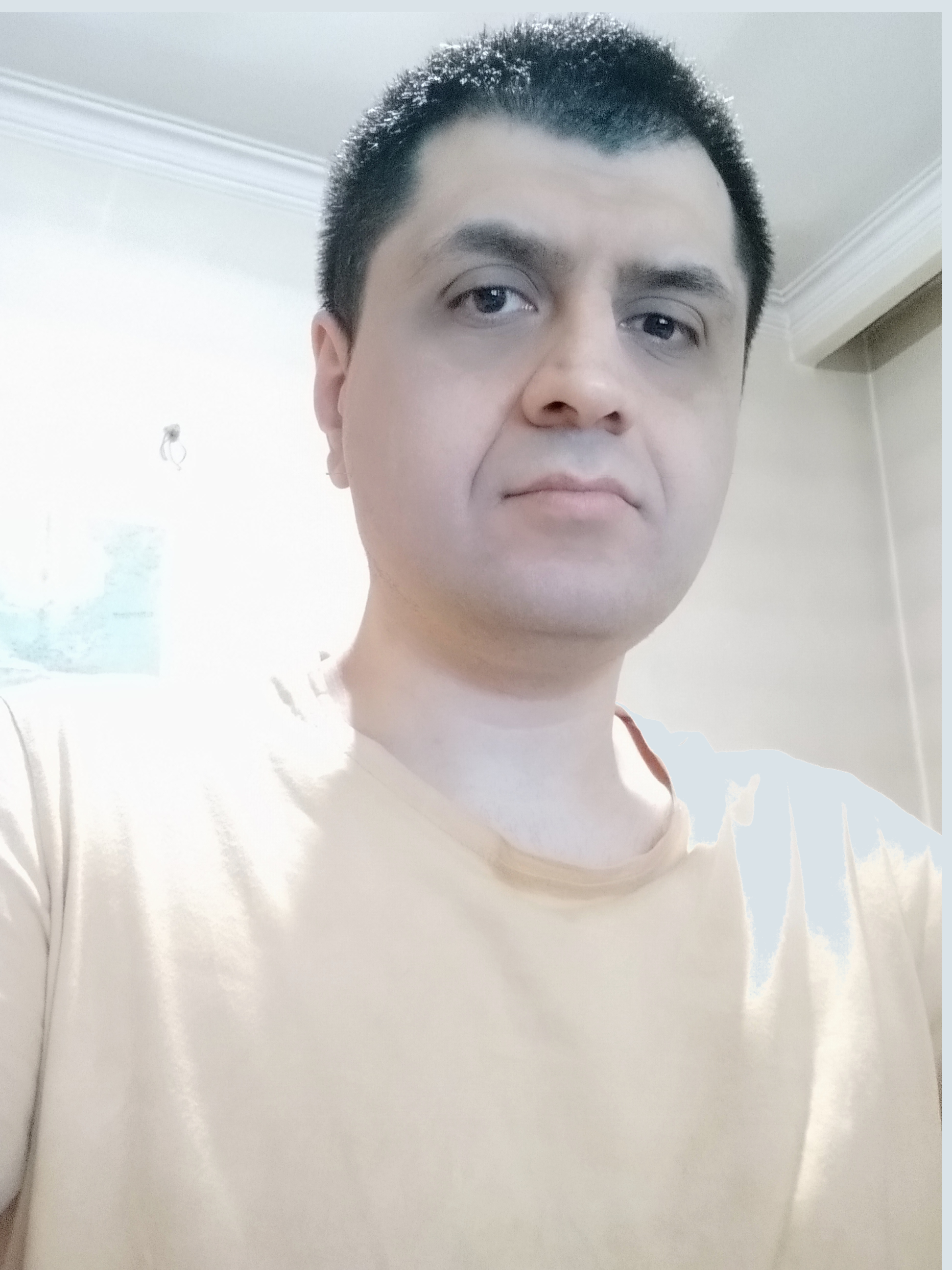 Shahab Baradaran Dilmaghani (bdshahab)