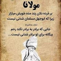 سید محسن سادات
