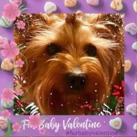 Sandra L Mendillo-Arnold