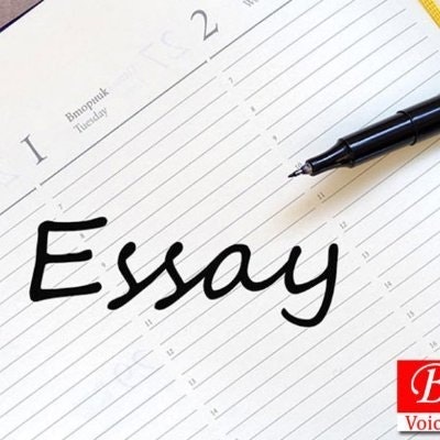 Essay writing service