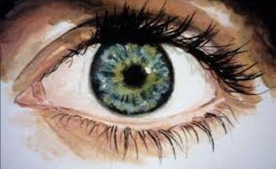 Дарья Куликова