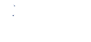 noraweddingplanner planner
