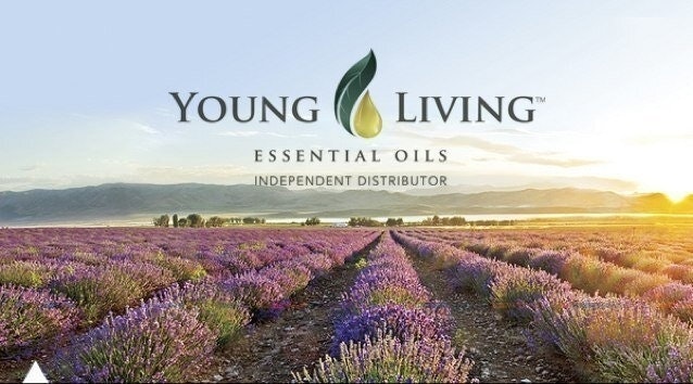 Our Essential Garden