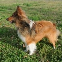 Lisa Lemoine Christian