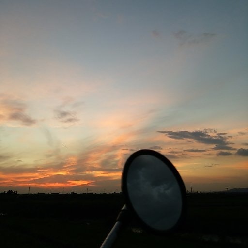 oiz... (Journeyman)🍑と🥟/ 元B2Bマーケ兼PR/ note