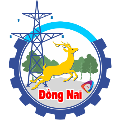 Dongnaitv