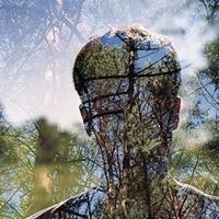 Сергей Токарев