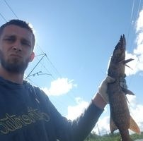 Дмитрий Сухов