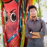 Mahmudul Hasan Shaon