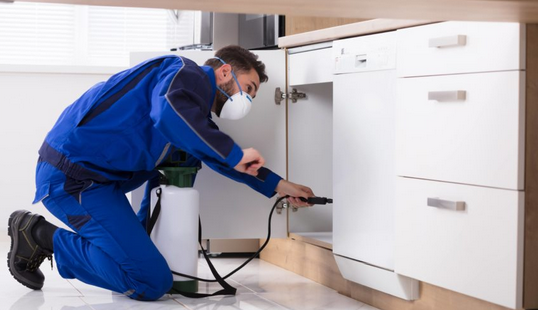 Commercial exterminators