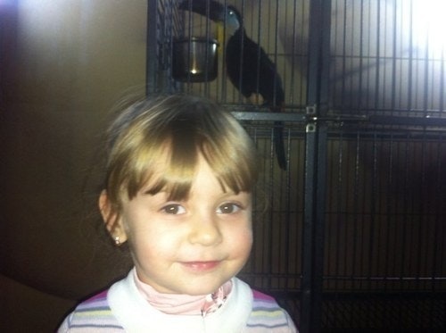 Александр Дасаев