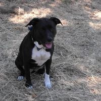 Michelle McCale Jones