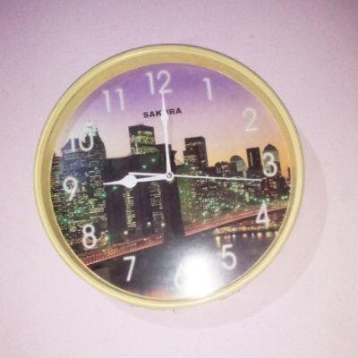 THE PEOPLE'S ADVOCATE