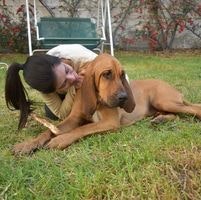 Verónica Larrañaga