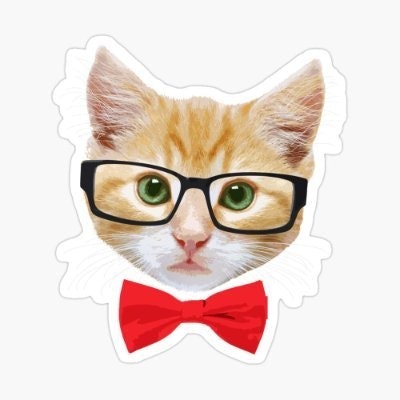 Chafik HADJ ABDOU RAZACK