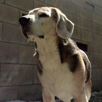 Marcelo Nicolas Cacciola