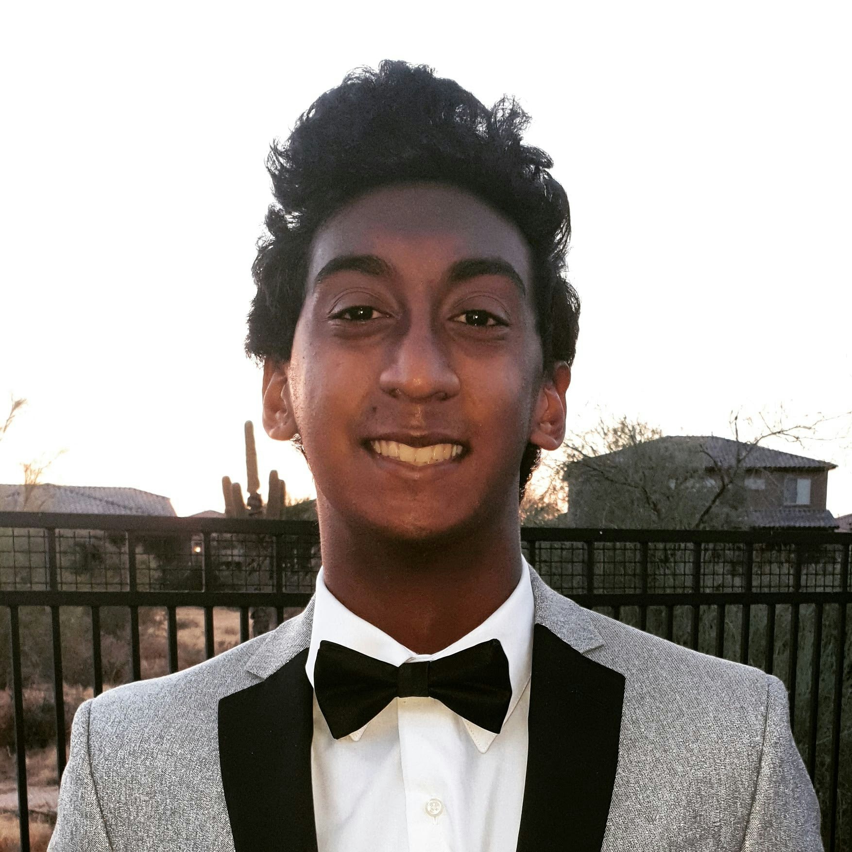 Adith Narayanan