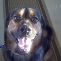 Hilary House Carpenter