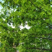 Кирилл Мартынюк