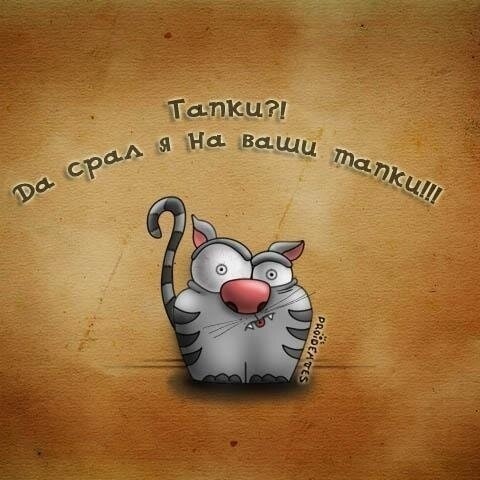 боевой тапок