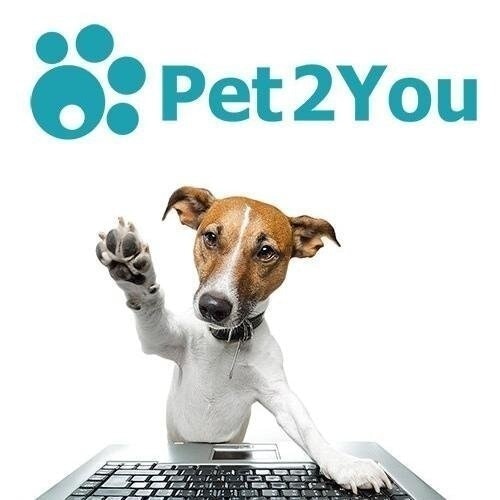 Pet2You