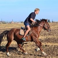 Руслан Верин