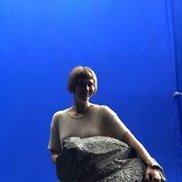 Kateryna Syniavska Ovechkina