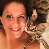 Dotan Langsam Schwartz