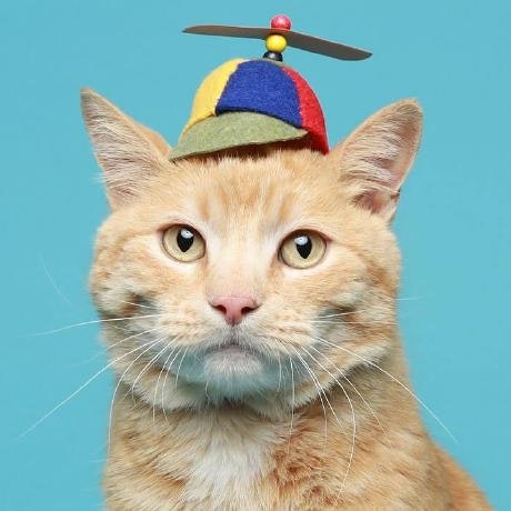ProductHunt profile picture for @juliam