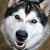 ProductHunt profile picture for @bool