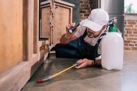 Control your Pest limited