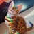 ProductHunt profile picture for @redid