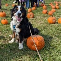 Brittney Kleinfelter