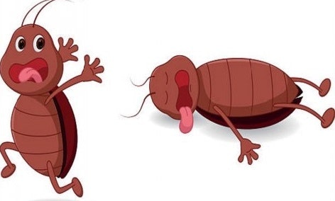 Bestbed bugtreatment