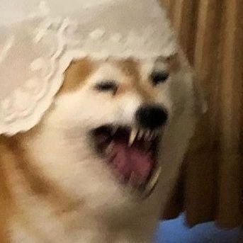 Reinforcement Кусь