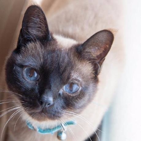 serinuntius@no plan inc CTO