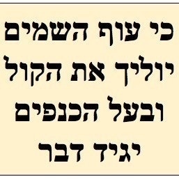 פסוקים מצייצים