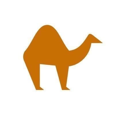 Your Camel