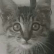 Luis Romo!® - Desde 🏠