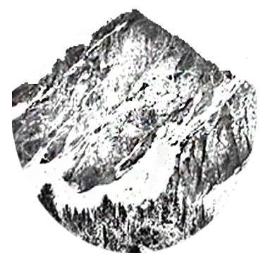 Mountain Ridge Decor